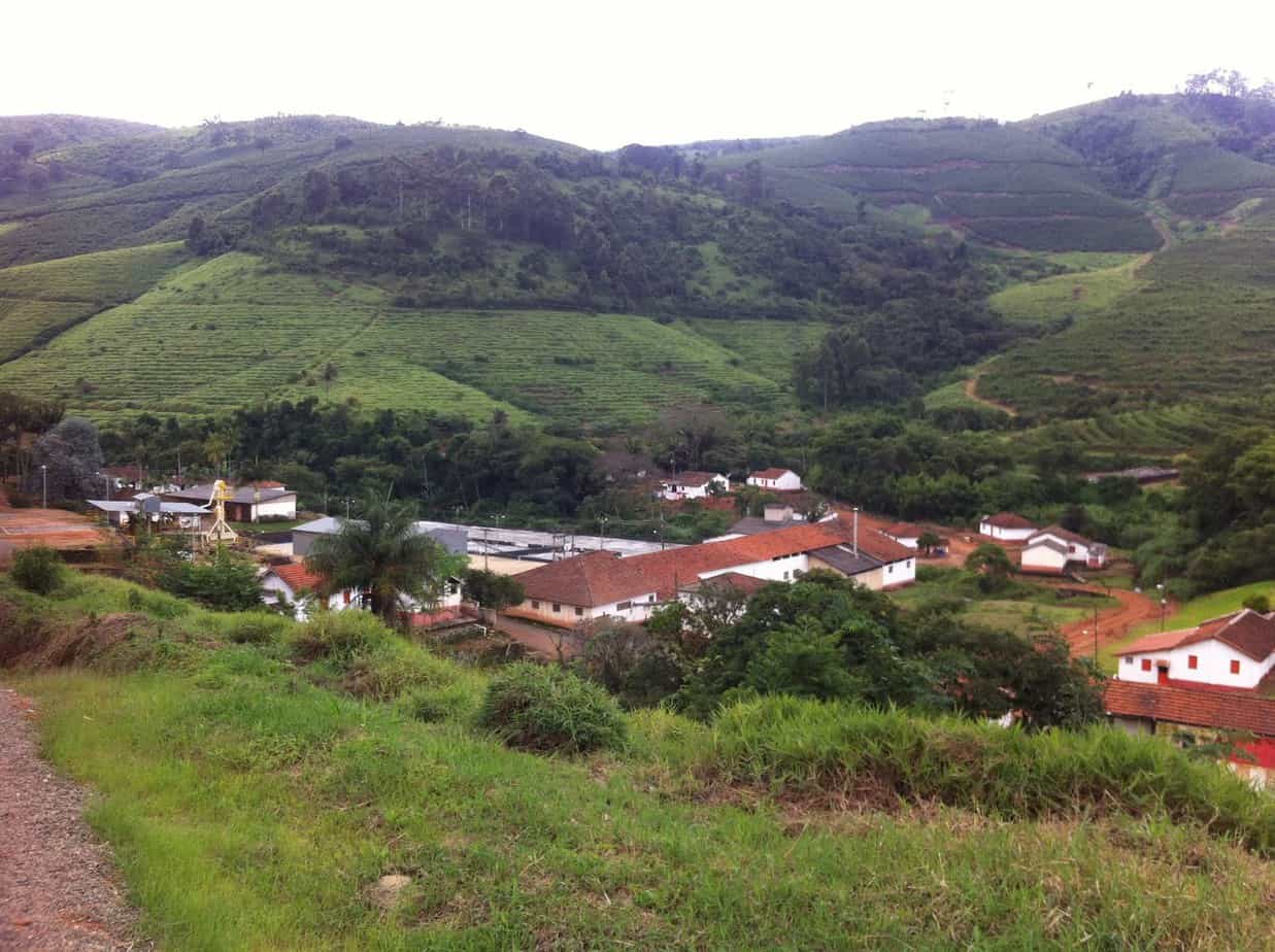 Brazil coffee beans growing region
